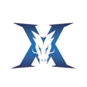 这一目标 这一目标